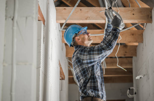 Best Electric Panel Repair  in Buffalo, TX